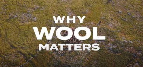 Why Wool Matters: Understanding the Benefits