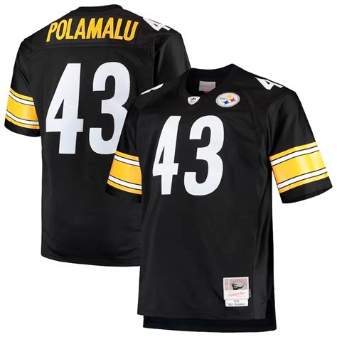 Why You Need a Troy Polamalu Jersey