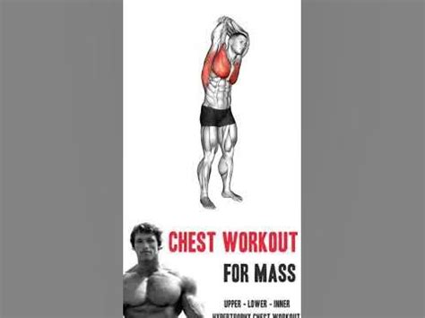 Why a Chest Routine Matters