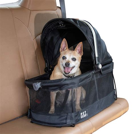 Why a Little Dog Carrier Matters