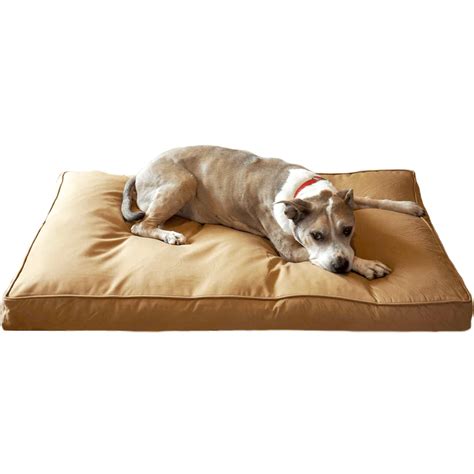 Why a Non-Chewable Dog Bed Matters