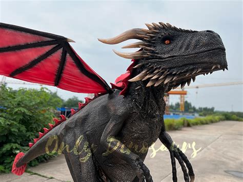 Why an Adult Dragon Costume Matters