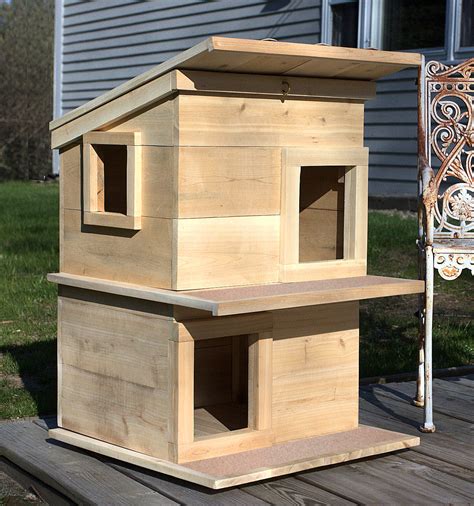 Why an Outdoor Cat House Matters