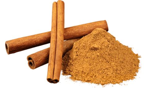 Why is Cinnamon Bad for Dogs?