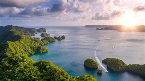 Why is Palau So Famous? Everything You Need to Know About This Micronesian Paradise