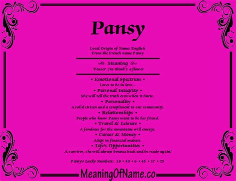 Why the Meaning of Pansy Matters