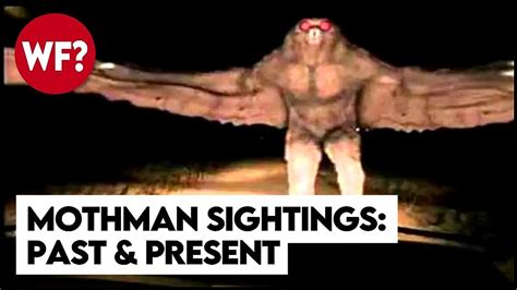 Why the Mothman Matters