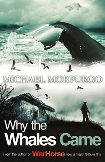 Why the Whales Came