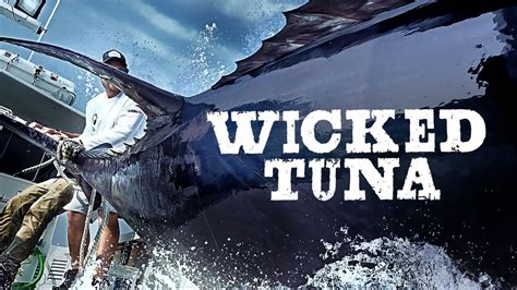 Wicked Tuna Season 12: A Closer Look