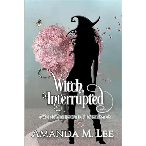 Wicked Witches of the Midwest 7 Book Series Reader