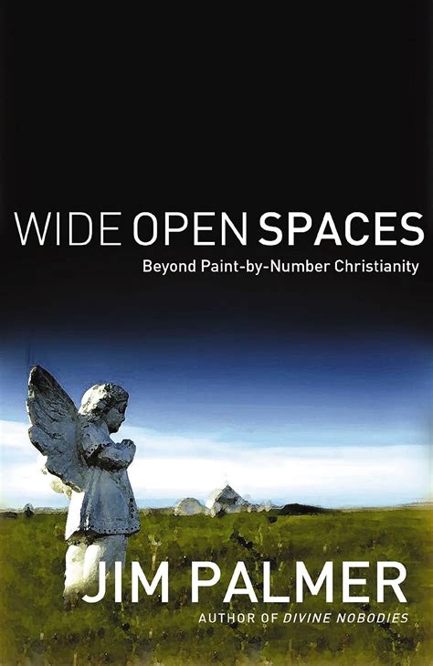 Wide Open Spaces: Beyond Paint-by-Number Christianity Kindle Editon