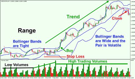 Wide Range of Trading Pairs: