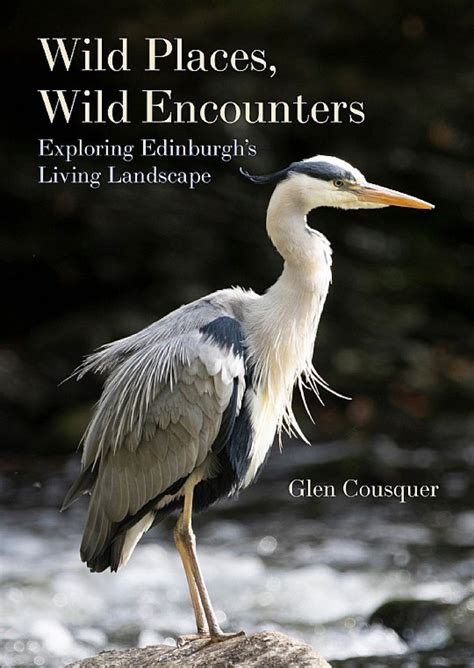 Wild Encounters: