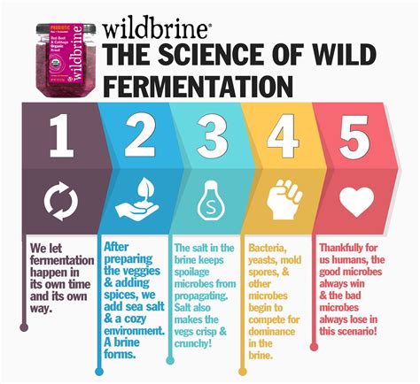 Wild Fermentation The Flavor PDF