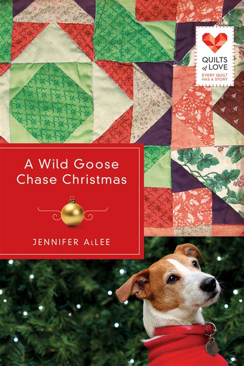 Wild Goose Chase Quilts Kindle Editon