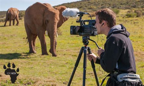 Wild as an Animal: Exploring the NYT's Captivating Nature Documentaries