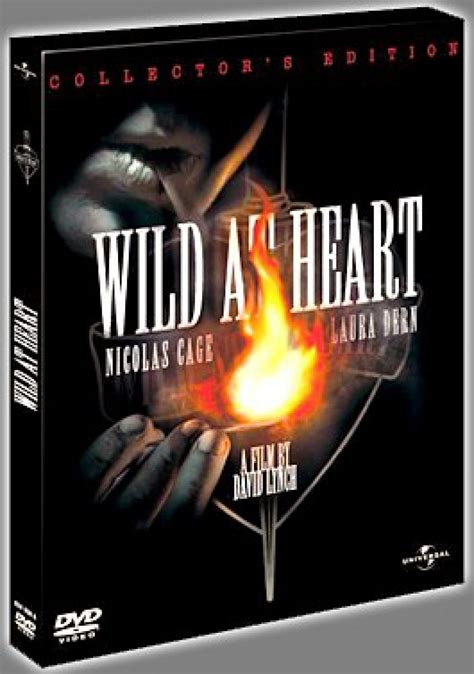 Wild at Heart Library Edition Doc
