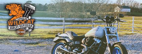 Wildcat Harley-Davidson London: The Ultimate Ride to Freedom