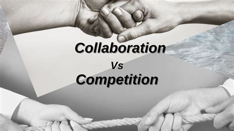 Wilderdog 2025: Partnerships and Collaborations VS Competition