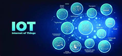 Wilderdog Compatibility and Integration: Unlocking the Future ofIoT2025 VS Real-Time DB