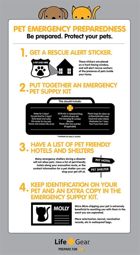 Wilderdog and Pet Emergency Preparedness: 10 Vital Tips for 2025 and Beyond