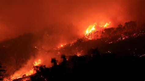 Wildfire in Los Angeles: 10,000+ Acres Burned, Thousands Evacuated