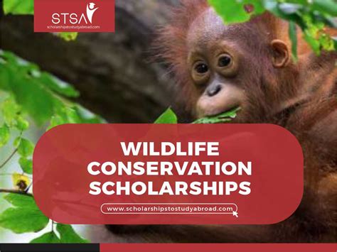 Wildlife Conservation Scholarships: A Path to Protecting Our Planet's Biodiversity