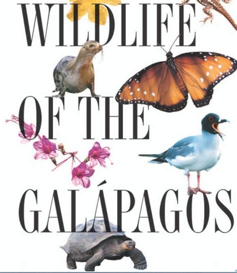 Wildlife of the Galapagos: (Princeton Illustrated Checklists) Kindle Editon