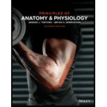 Wiley Plus Anatomy And Physiology Answe... PDF PDF