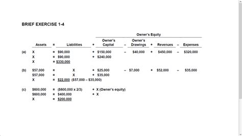 Wiley Plus Answers Accounting Chapter 1 PDF