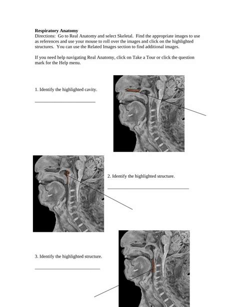 Wiley Real Anatomy Sheet Answers Epub