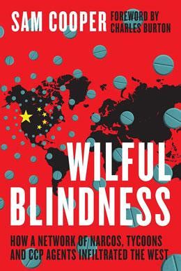 Wilful Blindness Chinese Edition Reader