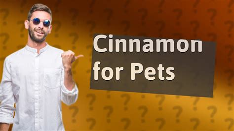 Will Cinnamon Hurt Dogs?