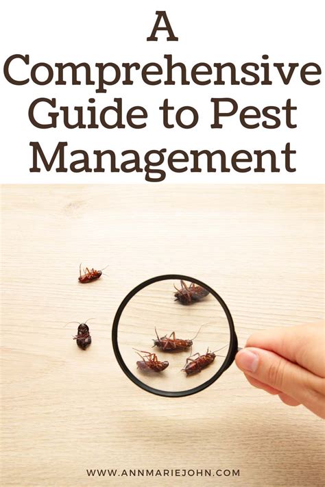 William's Pest Solutions: Comprehensive Guide to Professional Pest Control