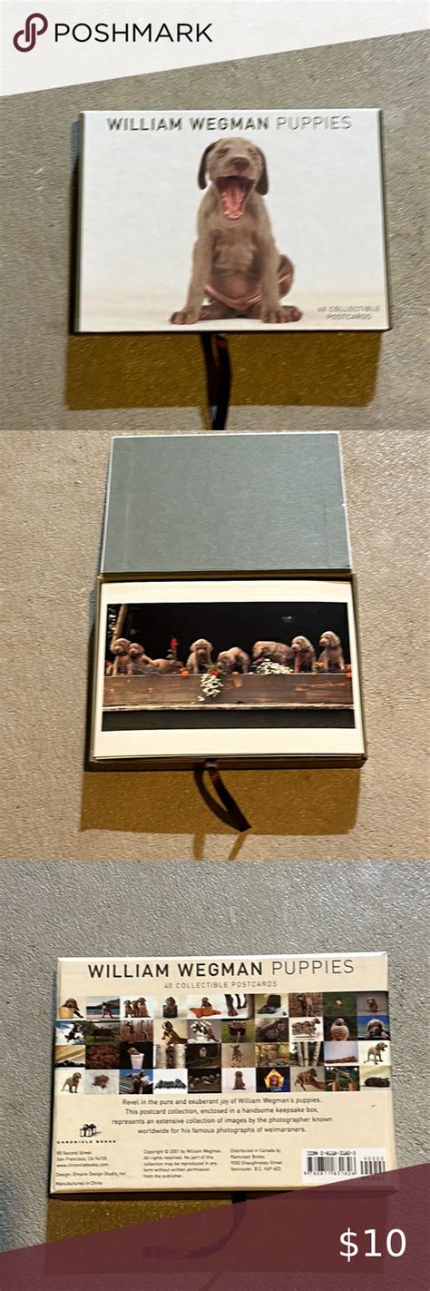 William Wegman Postcard Box Epub