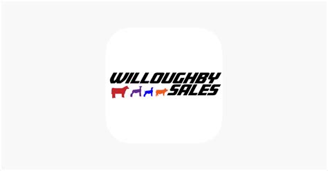 Willoughby Online Sales: A Gateway to Endless Possibilities