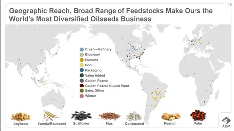 Wilmar: A Global Leader in Agribusiness