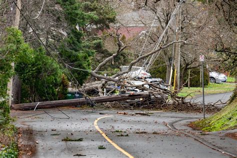 Wind damage: