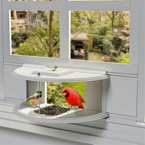 Window Bird Feeders: Enhance Your Home and Nature Appreciation