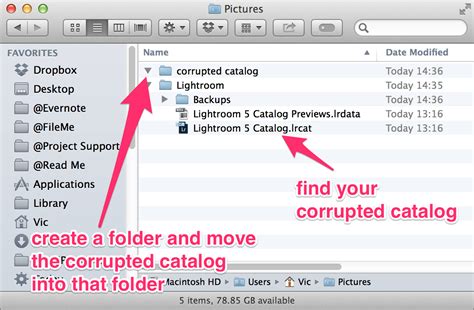 Windows 7 The Content Index Catalog Is Corrupt