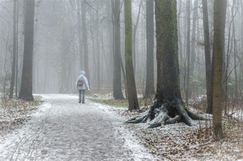 Windsor Weather: A Comprehensive Guide to Understanding Its Patterns and Forecasts