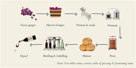 Wine Production: