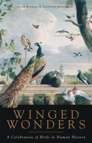 Winged Wonders: A Celebration of Birds in Human History Doc