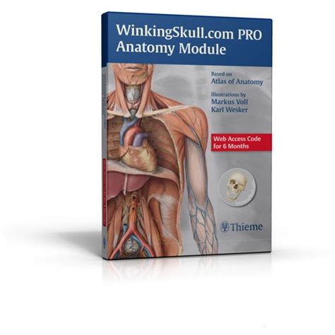 WinkingSkullcom PRO Anatomy Module 6 Month TRADE PKG PDF