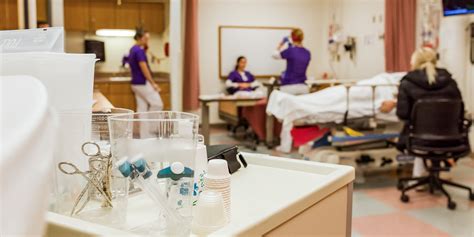 Winona State Direct Entry Nursing Program: A Comprehensive Overview