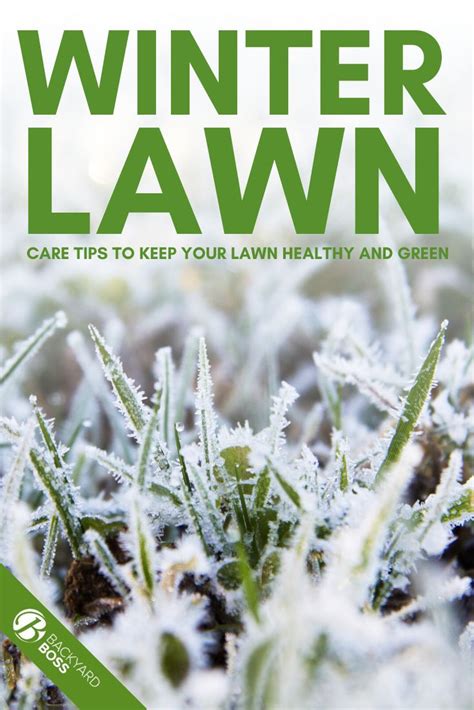 Winter Fertilizer Lawn: A Comprehensive Guide to Keeping Your Lawn Healthy in the Cold