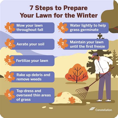 Winter Fertilizer for Lawn: A Comprehensive Guide to Winter Feeding