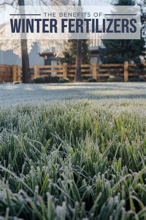 Winter Fertilizer for Lawns: 3 Crucial Benefits