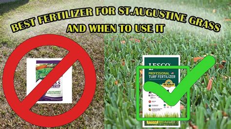 Winter Fertilizer for St. Augustine Grass: The Ultimate Guide to Nourishing Your Lawn