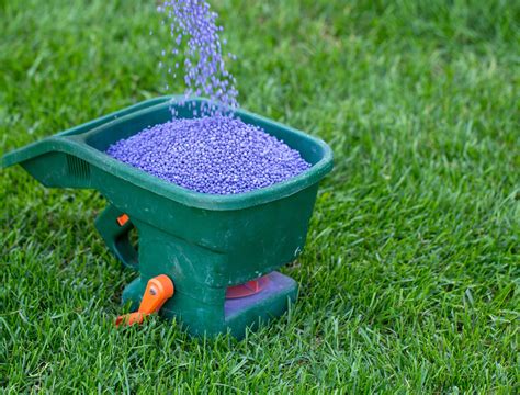 Winter Fertilizing for a Lush Green Lawn in Spring